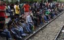 Μ.Χρυσοβελώνη: Πληγή για τις εξαγωγές η κατάσταση στην Ειδομένη