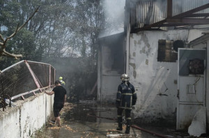 Ελαιώνας: Ένα παιδί στο νοσοκομείο από τη φωτιά