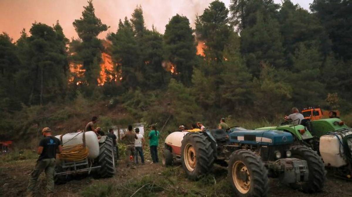 Πότε και πώς θα αποζημιωθούν οι πυρόπληκτοι αγρότες