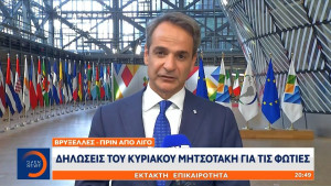Μητσοτάκης για πυρκαγιές: Aμεση καταγραφή ζημιών και ταχύτατη αποζημίωση