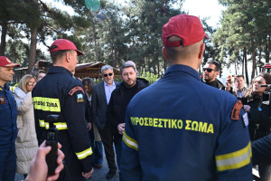 Ανδρουλάκης: Χρειαζόμαστε ένα κράτος-εγγυητή του δημοσίου συμφέροντος