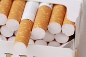Κατάσχεση 9.000.000 τεμαχίων λαθραίων τσιγάρων