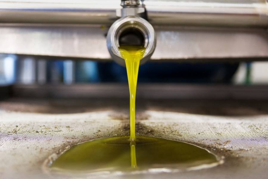 Ελαιόλαδο: «Άλμα» 355% στις εξαγωγές την τελευταία 20ετία-Οι κύριες αγορές