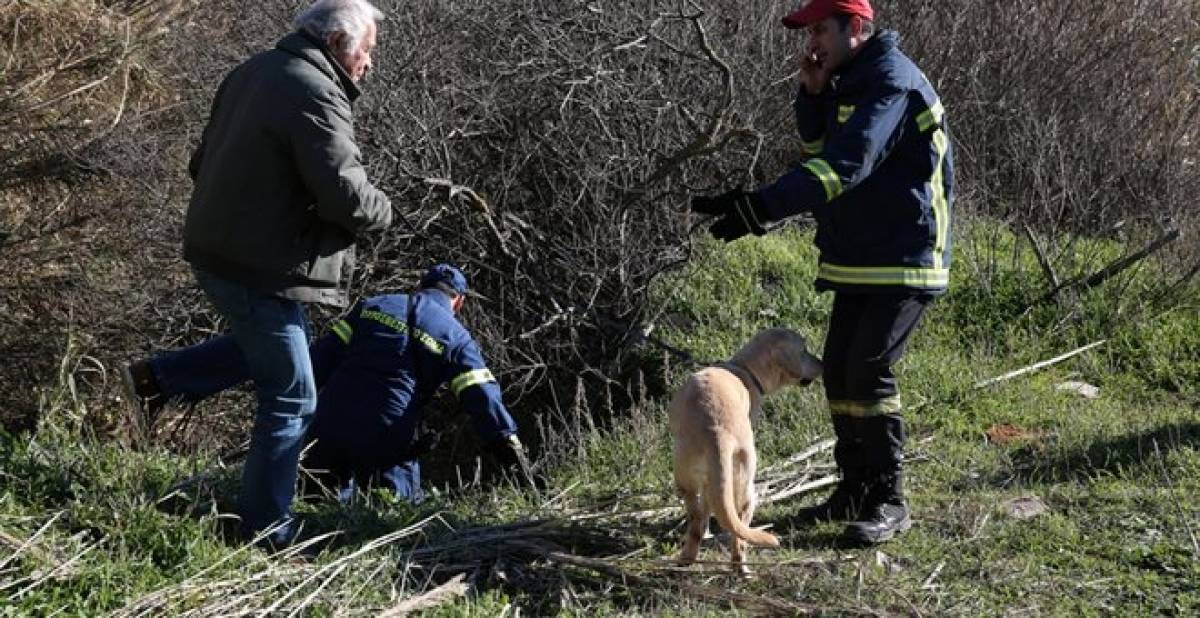 Ιωάννινα: Κινητοποίηση της πυροσβεστικής για τη διάσωση πεζοπόρου