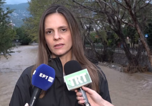 Αχτσιόγλου σε Μητσοτάκη: Δεν είναι αναποδιά, αλλά προαναγγελθείσα καταστροφή