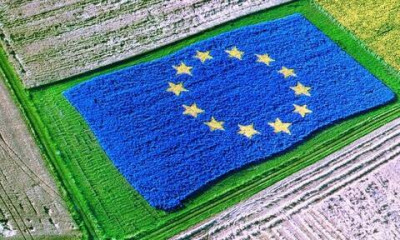 Γεωργία: Σε άνοδο το εμπόριο αγροδιατροφικών προϊόντων της ΕΕ