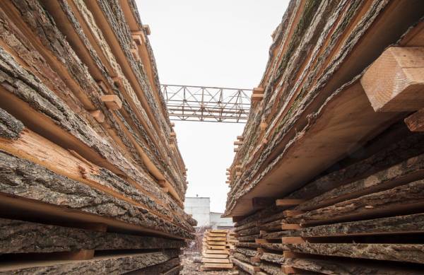 Η παγκόσμια αγορά ξυλείας μοιάζει με ρόλερ κόστερ