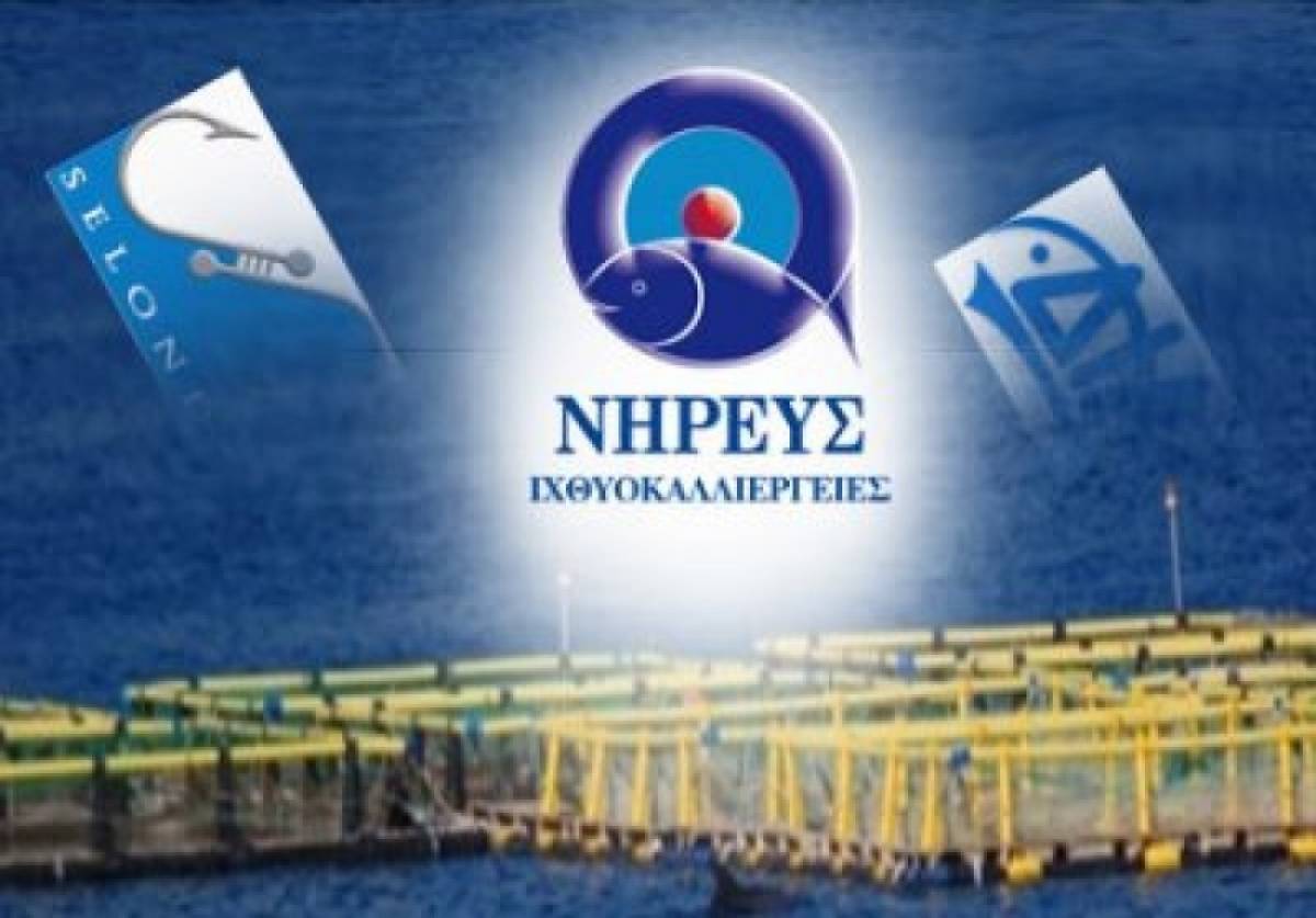 Νηρεύς: Αρνητικό λειτουργικό EBITDA για το α' εξάμηνο 2019