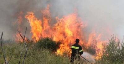 Πυρκαγιές σε Εύβοια, Βοιωτία και Ιωάννινα
