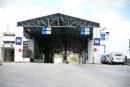 Τα... περίεργα των τελωνείων: Τσιγάρα, αλκοόλ, χέλια και κροκόδειλοι!