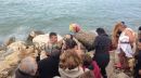 Τσακώθηκαν για τον σταυρό στην Πάτρα (video)