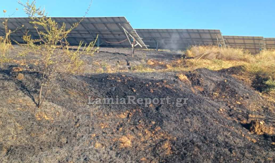 Λαμία: Πυρκαγιά κοντά σε φωτοβολταϊκά στον Άγιο Στέφανο Δομοκού - Επιχειρούν εναέρια μέσα