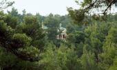 Ξεκίνησε η δεύτερη φάση ανάρτησης δασικών χαρτών