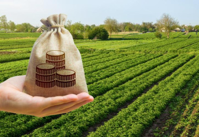 Πρόγραμμα €135 εκατ. για στήριξη της μεταποίησης αγροτικών προϊόντων