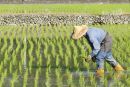 Πεκίνο: Άμεση επιδίωξη η πράσινη ανάπτυξη μέσω εκπαίδευσης των αγροτών