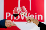 58 Έλληνες παραγωγοί οίνου και αποσταγμάτων στην Έκθεση Prowein 2022
