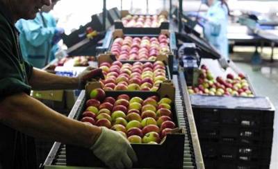 Ευκαιρία αύξησης των ελληνικών εξαγωγών φρούτων στη Γερμανία η πανδημία
