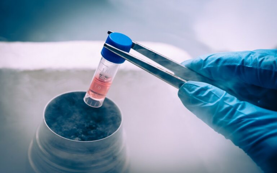 «Καμπανάκι» ΕΟΦ: Προσοχή σε φαινόμενα εξαπάτησης «για χρήση βλαστοκυττάρων»