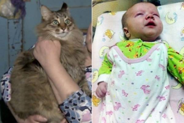 Γάτα σώζει βρέφος από τα σκουπίδια