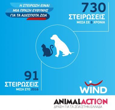 WIND-Animal Action: 6 χρόνια συνεργασίας για τη φροντίδα αδέσποτων ζώων