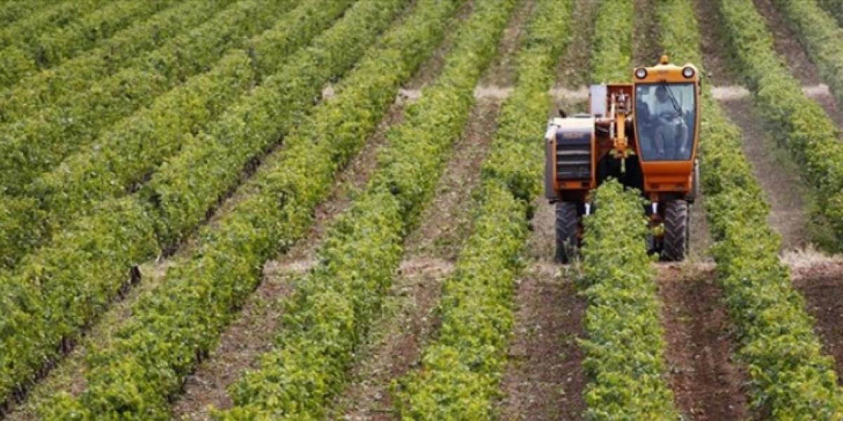 ΕΛΓΑ: Άμεσα οι αποζημιώσεις στους πληγέντες