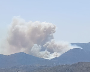 Φωτιά στην Πάρνηθα: «Ήχησε» το 112- Εμπόδιο οι ισχυροί άνεμοι