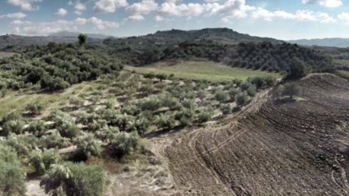 Επικοινωνία ΣΠΕΦ-Αμυρά: Οξύτατα προβλήματα από λάθη στους ψηφιακούς δασικούς χάρτες
