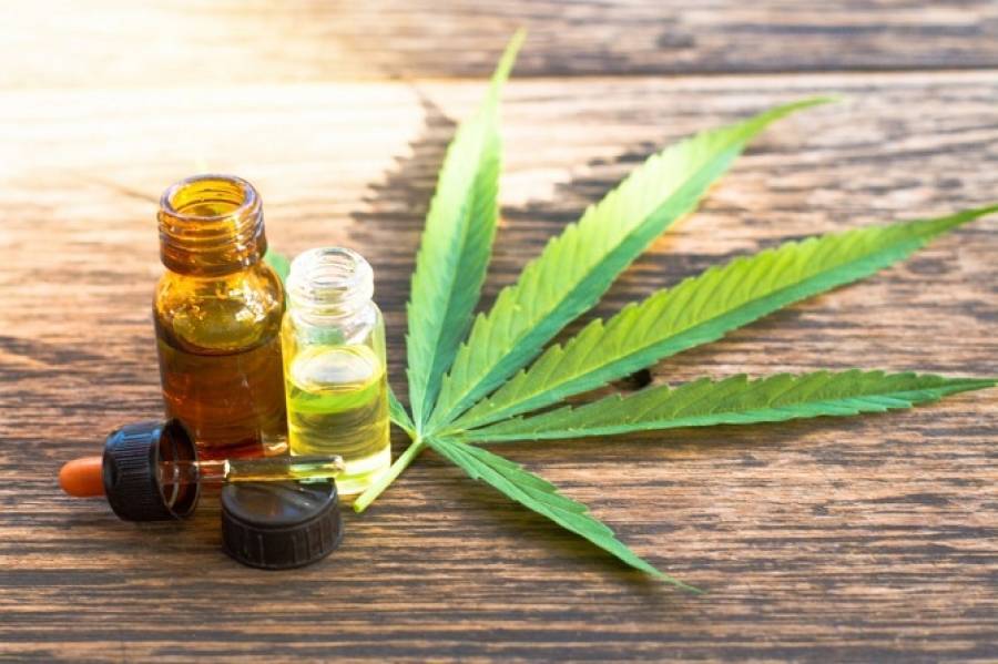 Καναδική εταιρεία έρχεται για φαρμακευτική κάνναβη στην Ελλάδα
