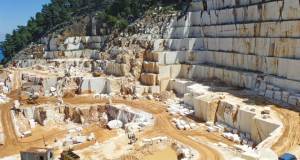 ΙΚΤΙΝΟΣ: Μόλις το 4,60% της παραγωγής διατίθενται στην Ελλάδα