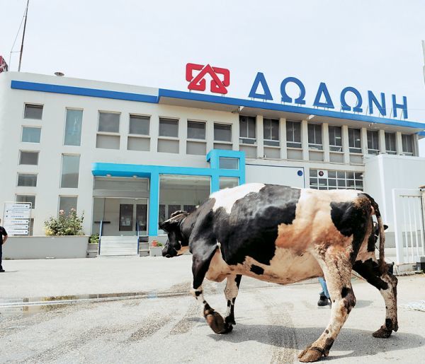 ΔΩΔΩΝΗ: Δέσμευση για στήριξη σε περισσότερους από 6.000 παραγωγούς
