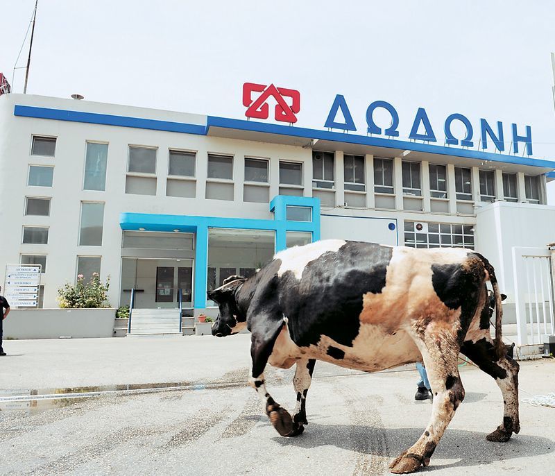 ΔΩΔΩΝΗ: Δέσμευση για στήριξη σε περισσότερους από 6.000 παραγωγούς
