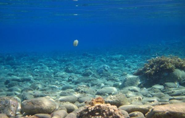 Θαλάσσια Οικονομία: 7 εκατ. θέσεις εργασίας μέχρι το 2020 στην ΕΕ