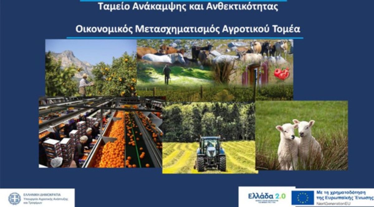 Παράταση προθεσμίας αιτήσεων σε αγροτικά υποέργα του Ταμείου Ανάκαμψης&amp; Ανθεκτικότητας