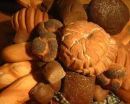 Οι Μεσσήνιοι που έμαθαν τους Βιεννέζους τι σημαίνει ψωμί