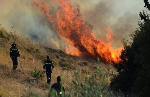 Υψηλός κίνδυνος πυρκαγιάς την Παρασκευή (13/8)-Οι περιοχές κατηγορίας κινδύνου 4