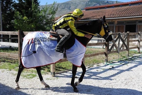 71ο Ελληνικό Ντέρμπι ΟΠΑΠ:Οι «χρυσοί» νικητές μιλούν για την επιτυχία τους