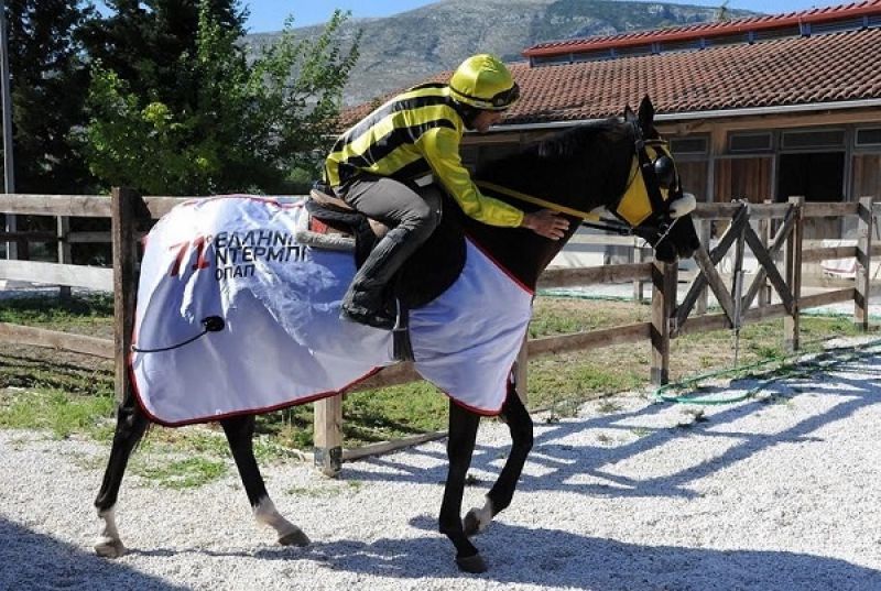 71ο Ελληνικό Ντέρμπι ΟΠΑΠ:Οι «χρυσοί» νικητές μιλούν για την επιτυχία τους