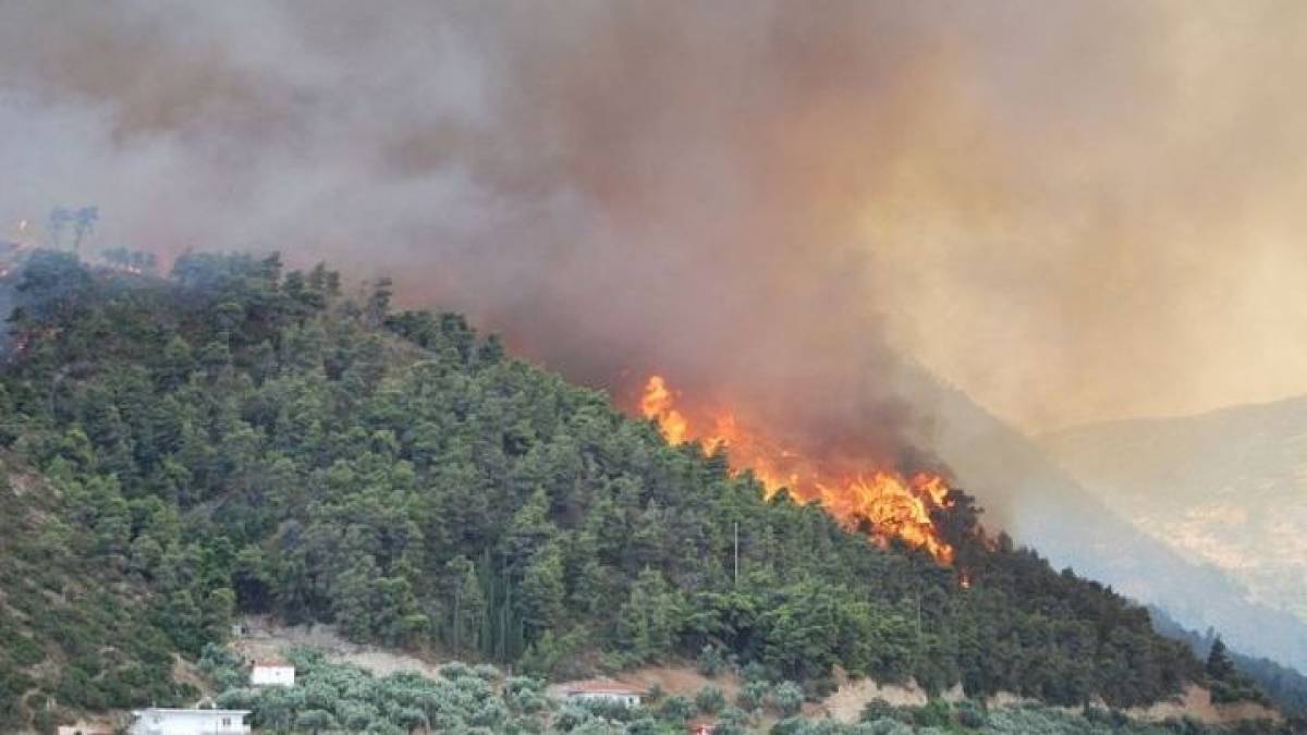 Σε εξέλιξη φωτιά στη Μεγαλόπολη