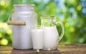 Κινδυνεύει η "καρδάρα" της κυβέρνησης με το... γάλα: Η αυστηρή παρέμβαση Σαμαρά, το μήνυμα Βενιζέλου, οι αντάρτες "γάλακτος" και ο "αντικομμουνισμός" του κ. Μπαλτάκου- Τετάρτη ή Πέμπτη σ’ ένα νομοσχέδιο η συμφωνία με την τρόικα