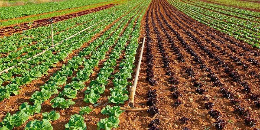 Τα μέτρα του ΥΠΑΑΤ για τη μείωση του κόστους παραγωγής