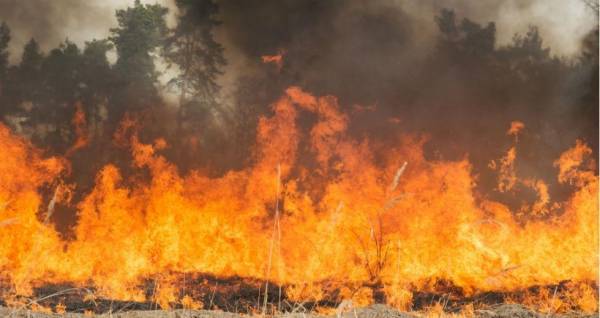 Κίνα: Στους 30 οι νεκροί από δασική πυρκαγιά