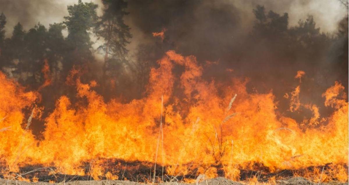 Κίνα: Στους 30 οι νεκροί από δασική πυρκαγιά