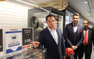 Γεωργιάδης: Με δεξιά αιώνια στην εξουσία θα είχαμε 0% ΦΠΑ