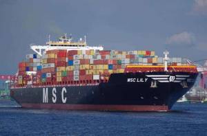 MSC: Αλλάζει δρομολόγια στην Ελλάδα για να προστατεύσει τις φάλαινες!