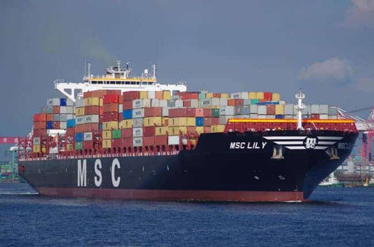 MSC: Αλλάζει δρομολόγια στην Ελλάδα για να προστατεύσει τις φάλαινες!