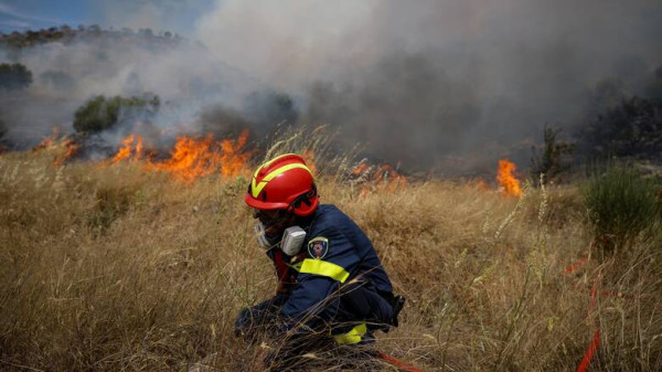 Πυροσβεστική: 96 δασικές πυρκαγιές σε όλη την επικράτεια