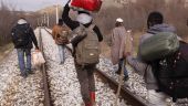 πΓΜΔ: Τρένο παρέσυρε & σκότωσε 14 ανθρώπους