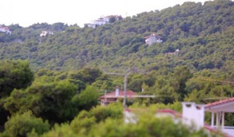 Δασικούς Χάρτες μέχρι το 2019 «τάζει» το υπουργείο Περιβάλλοντος
