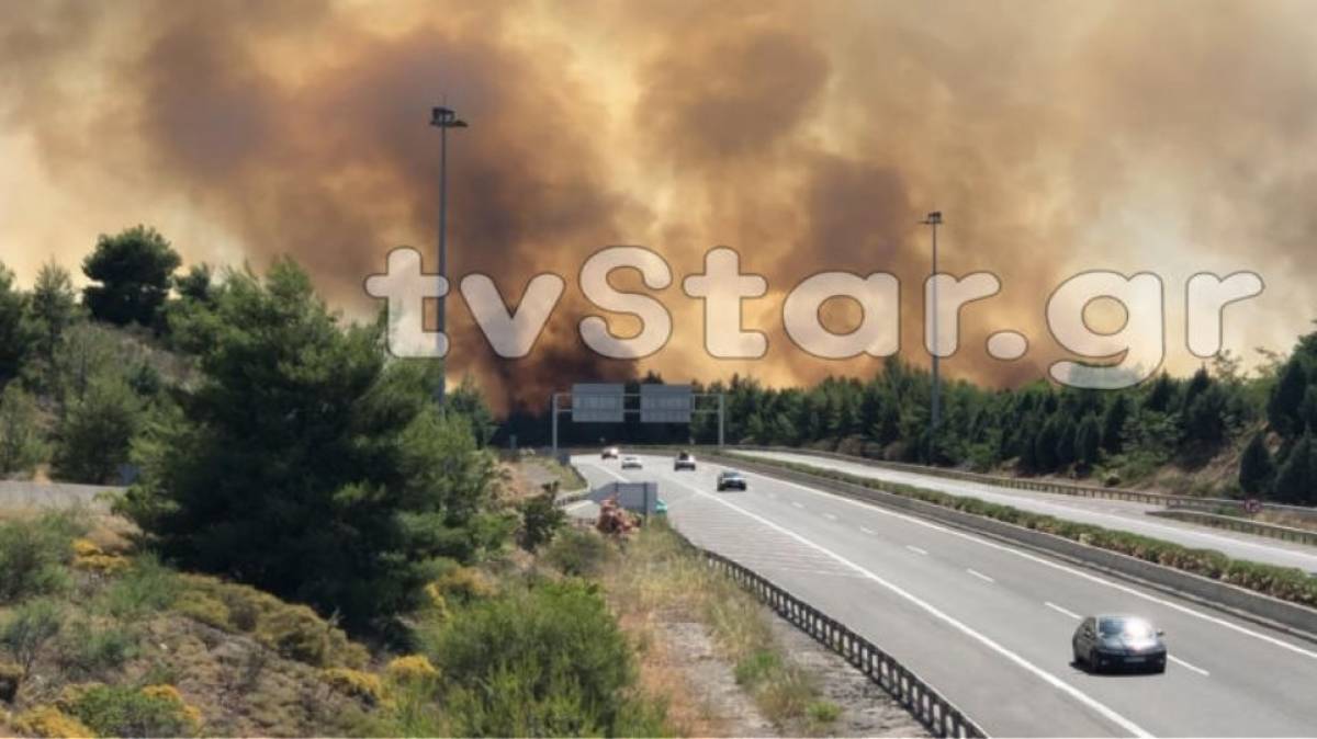 Πυρκαγιά στο Μαρτίνο Φθιώτιδας κοντά στην εθνική οδό