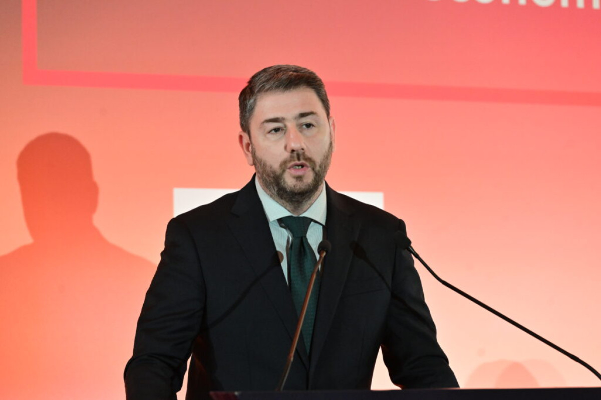 Ανδρουλάκης: «Παυσίπονο» τα επιδόματα- Ανάγκη για σοβαρούς ελεγκτικούς μηχανισμούς